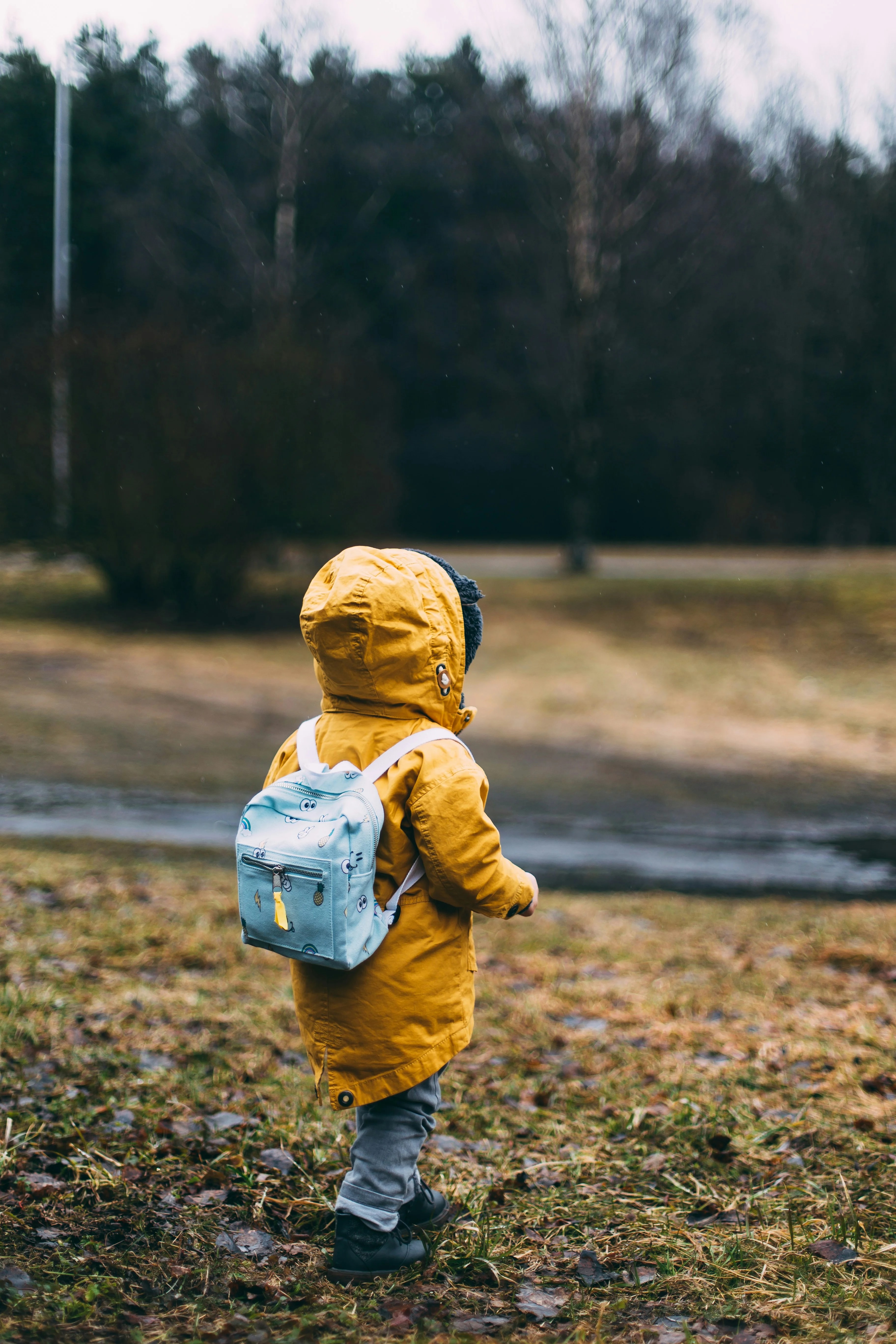 Custody & Family Law Writing
